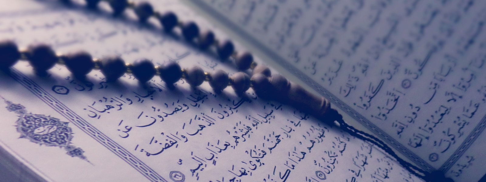 Quran books