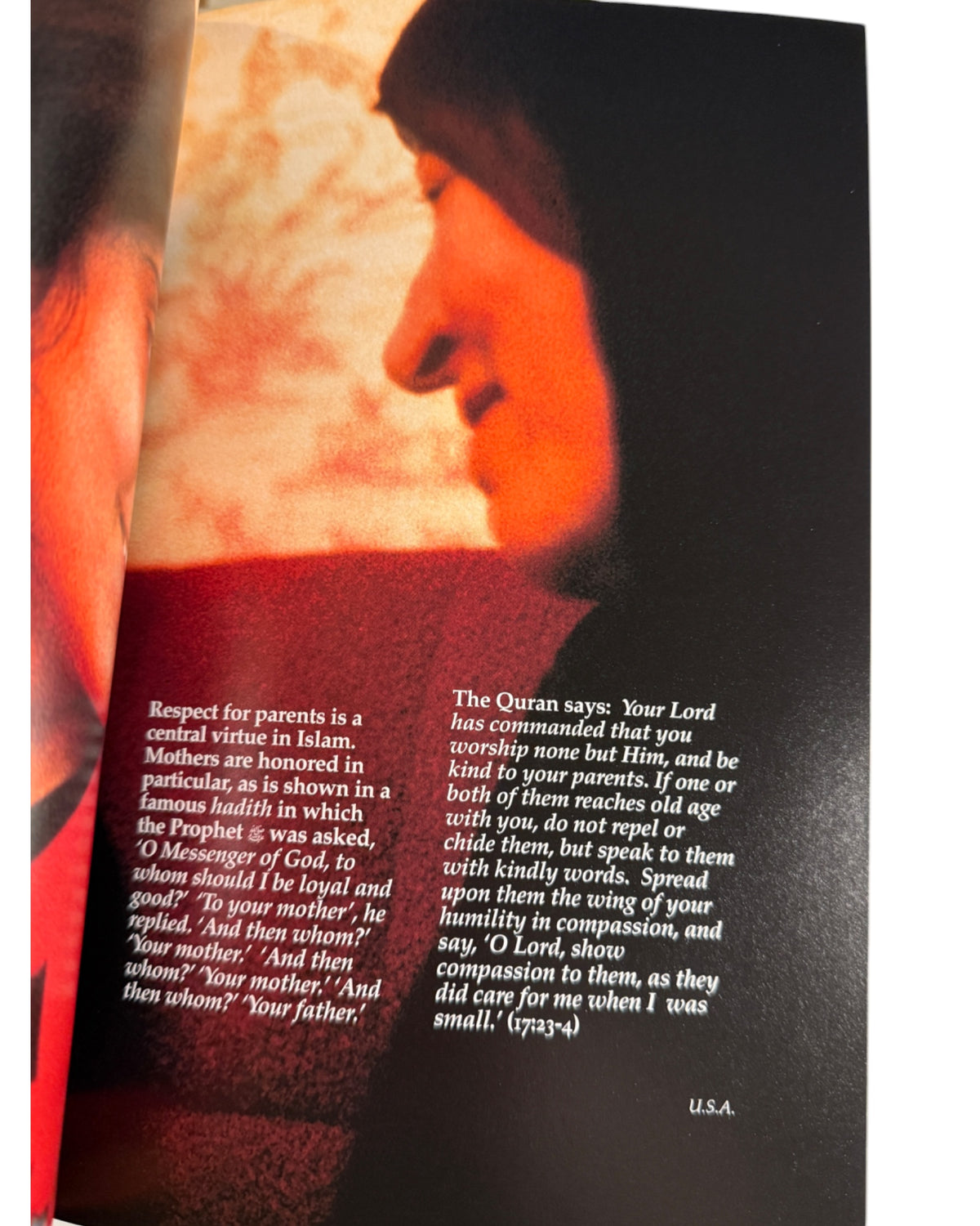 Understanding Islam and the Muslims