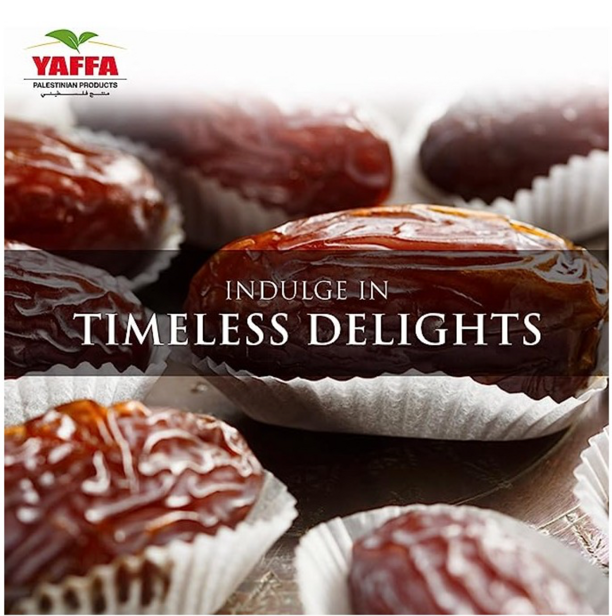 Palestinian Medjoul Dates (Medium) - 900g