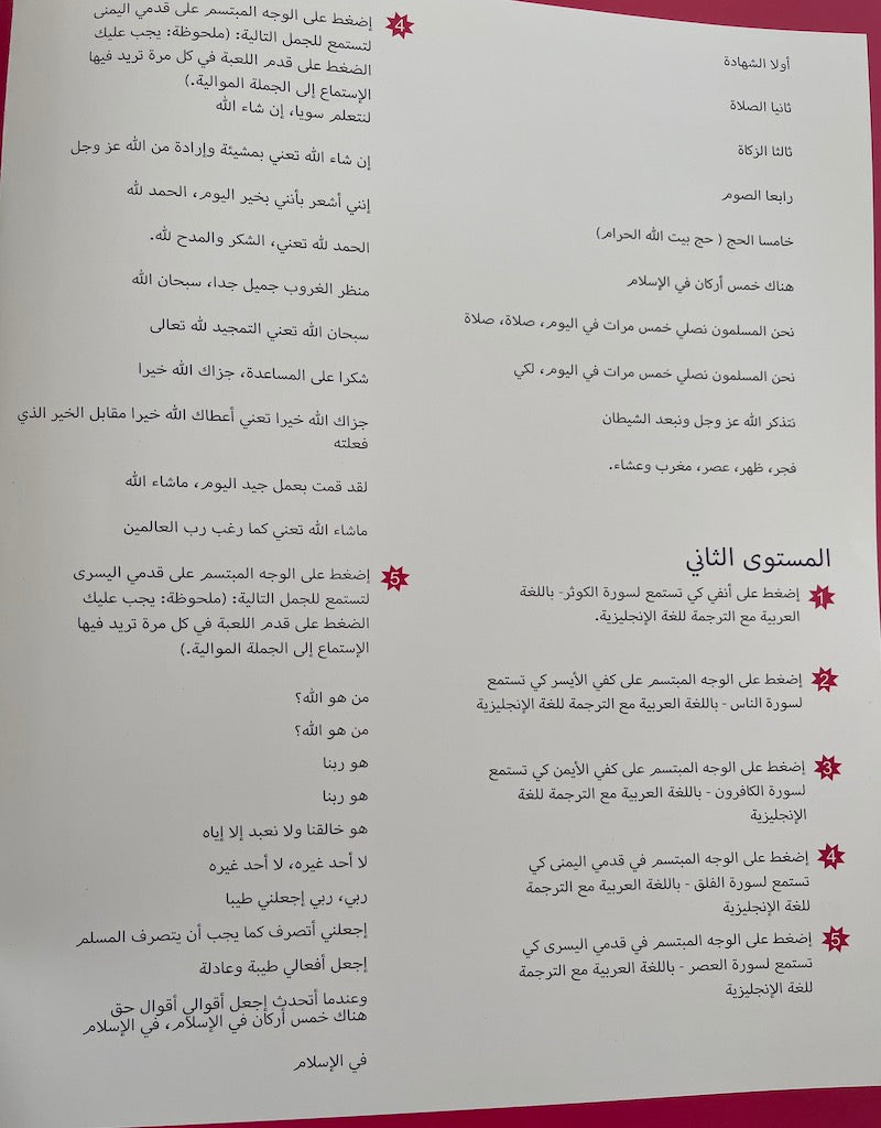 Talking Muslim Doll Aamina by Desi Doll speaks Arabic and English - New improved Edition-Kids Books-Islamic Goods Direct