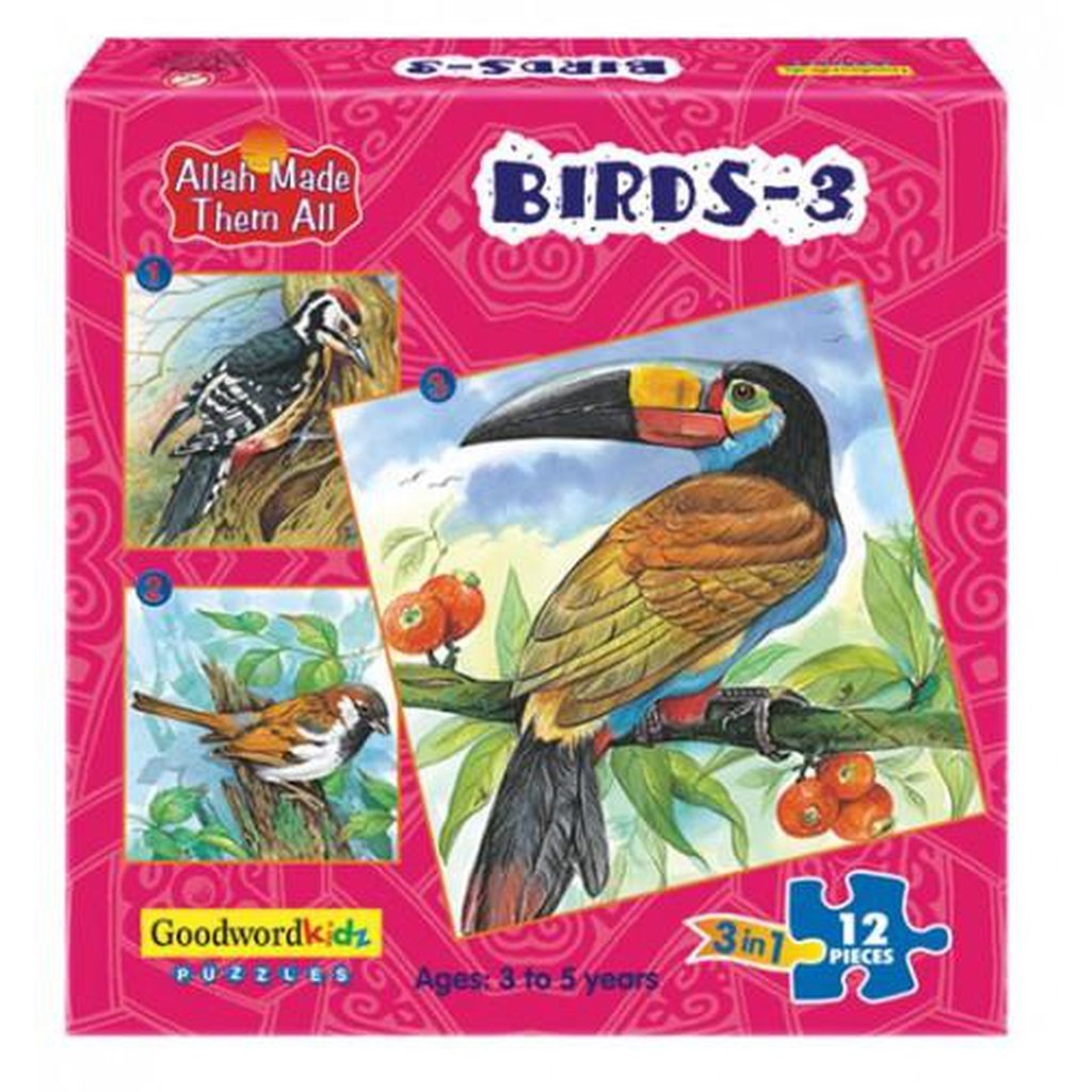 Birds 3-Kids Books-Islamic Goods Direct