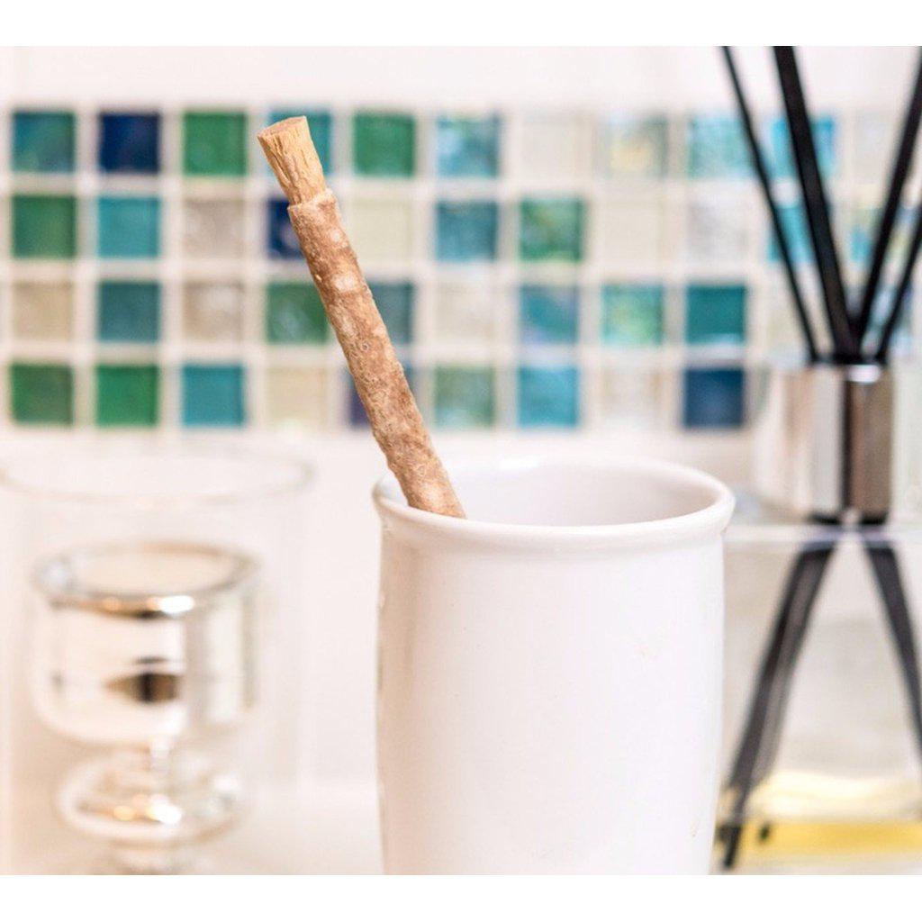Miswak Stick Natural Toothbrush pack of 10 sticks-Islamic Essential-Islamic Goods Direct