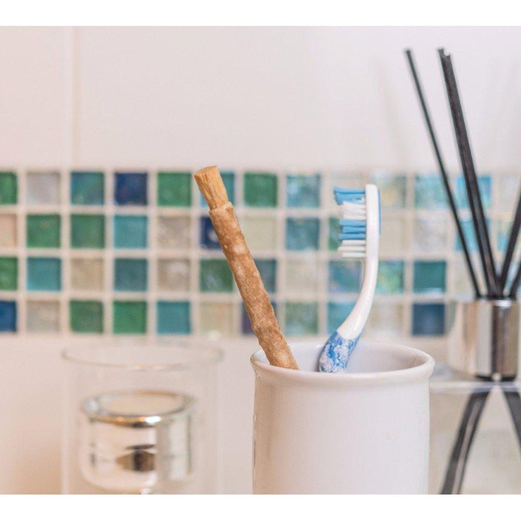 Miswak Stick Natural Toothbrush pack of 10 sticks-Islamic Essential-Islamic Goods Direct