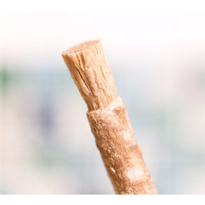 Miswak Stick Natural Toothbrush pack of 10 sticks-Islamic Essential-Islamic Goods Direct